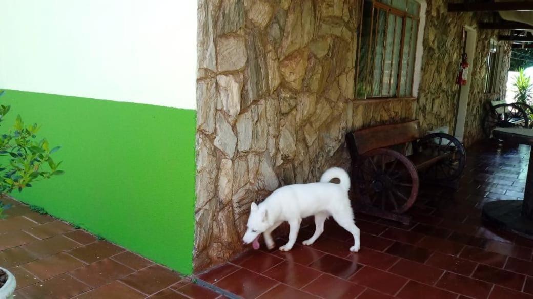 Hotel Pousada Naipi à Foz do Iguaçu Extérieur photo